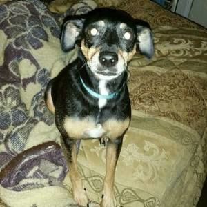 Meet your Posher, Kelly